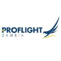 proflight zambia logo image