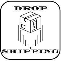 dropshipping logo image