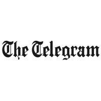 the telegram logo image