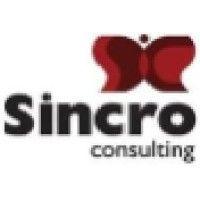 sincro consulting logo image