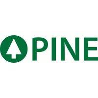 pine environmental services llc