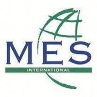 mes international limited