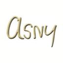 logo of The Asny Company Llc