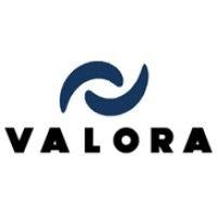 valora consultoria sas