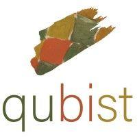 qubist pty ltd logo image