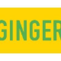 ginger net logo image