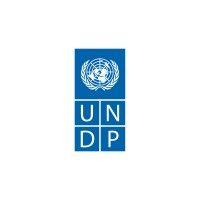 undp libya logo image