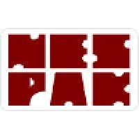 national engineering services pakistan (pvt) limited (nespak) logo image