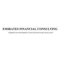 emirates financial consulting limited logo image