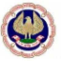 institute of chartered accountants of india logo image