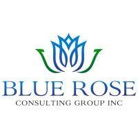 blue rose consulting group, inc.