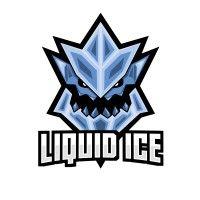 liquid ice studios logo image