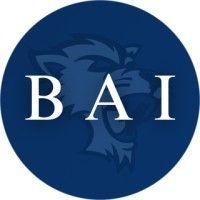 baruch alternative investment club logo image