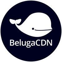 belugacdn logo image