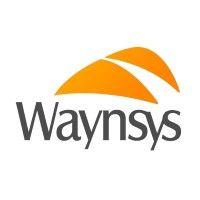 waynsys, inc. logo image