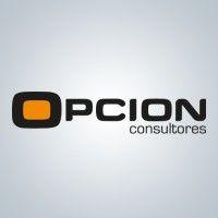 opción consultores