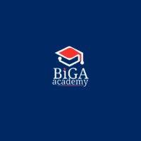 biga brand logo image