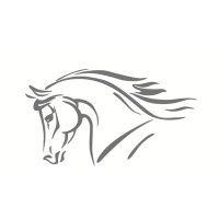 scott dunn's equine clinic logo image