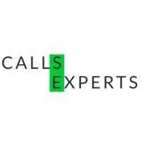 callsexperts logo image