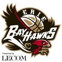 erie bayhawks logo image