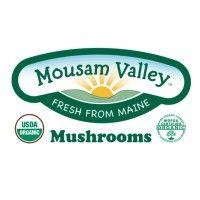 mousam valley mushrooms logo image