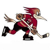 tucson roadrunners