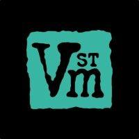 vrain street music logo image