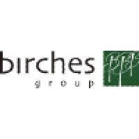 birches group llc logo image