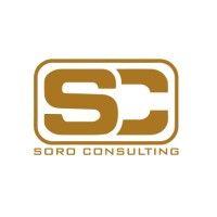 soro consulting logo image