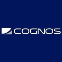 grupo cognos