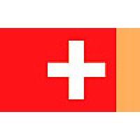 swiss mango logo image