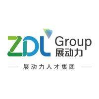 zdl executive search