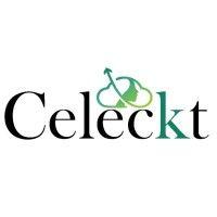 celeckt logo image