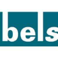 belsped global logistics gmbh logo image