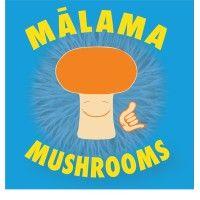 mālama mushrooms