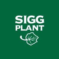 oy sigg-plant ab