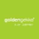 logo of Golden Gekko A Dmi Company