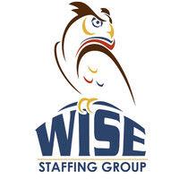 wise staffing group logo image