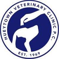 hueytown veterinary clinic and pet lodge logo image