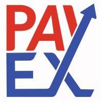 global payex logo image