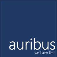 auribus consulting