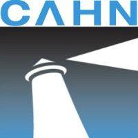 cahn litigation services