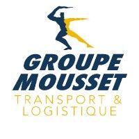 mousset group logo image