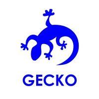 gecko programmes ltd