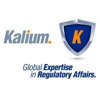 kalium solutions inc. logo image