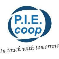 p.i.e. soc. coop. logo image