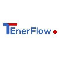 tenerflow logo image