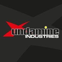 undamine industries logo image