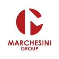 marchesini group s.p.a.