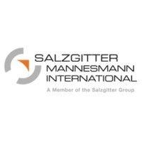 salzgitter mannesmann international (usa), inc logo image